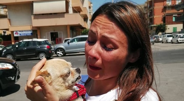 Latina, ritrova la sua cagnolina dopo 8 anni: Silvia può finalmente riabbracciare Maya