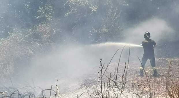 Vasto incendio in un bosco a Campli: difficili operazioni di spegnimento