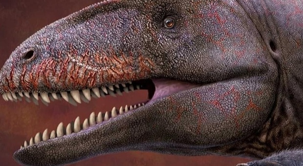 Scoperto gigantesco dinosauro carnivoro: Ulugh più antico e micidiale del T-Rex, aveva i denti da squalo
