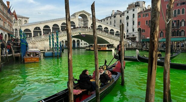 Il Canal Grande colorato di verde al Ponte di Rialto