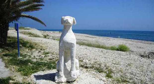 Grottammare, una spiaggia libera a Sud del Tesino ​riservata ai cani
