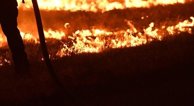 Incendi in California, autista eroe salva 22 bambini con lo scuolabus: «Sembrava la fine del mondo»