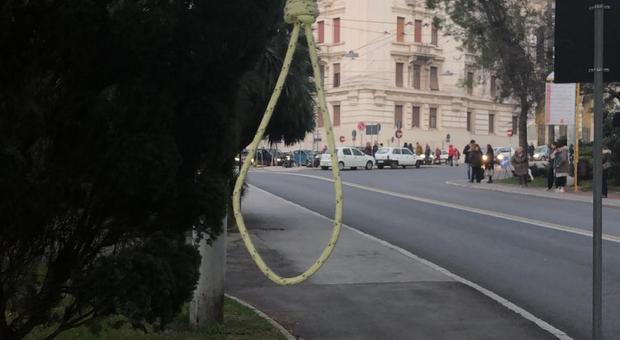 Ancona, una corda con un cappio appesa ad un albero in piazza