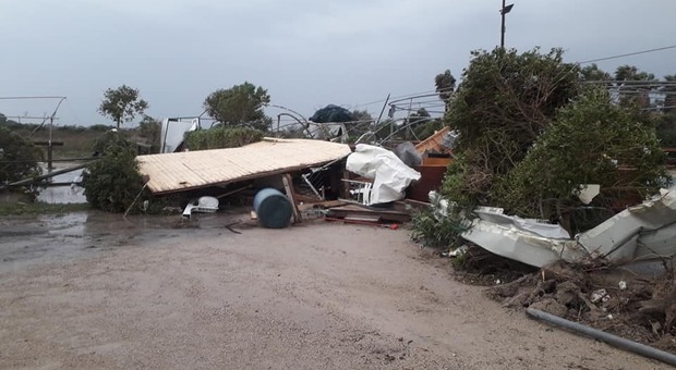 Maltempo a Taranto, uragano abbatte alberi e muri: strade come fiumi