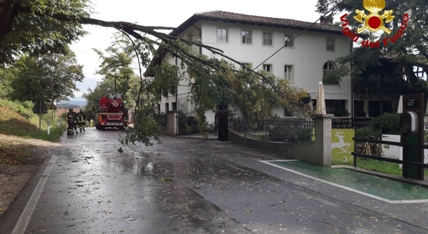 Ondata di maltempo in Fvg: allagamenti e alberi crollati, Lignano la più colpita