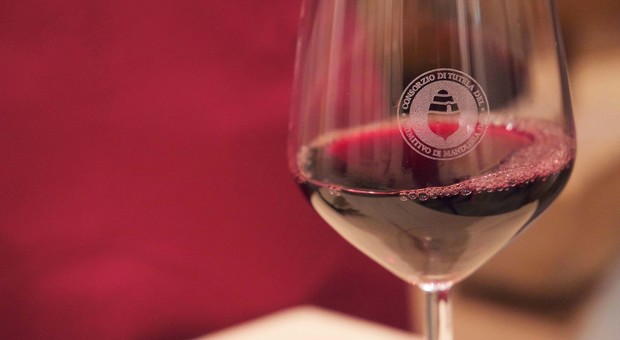 Falsi Primitivo in Cile, Portogallo e nel nord Italia: «Potenziamo i controlli sui nostri vini»