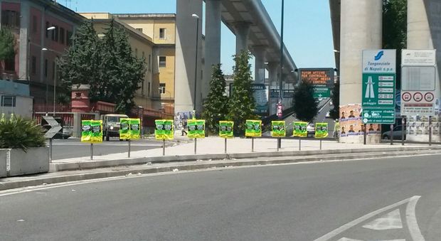 Napoli, volantini pubblicitari attaccati sulla segnaletica stradale| Foto