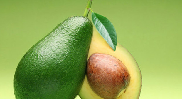 Il "grasso" avocado è il migliore alleato per una dieta dimagrante