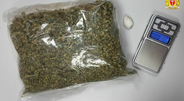 Girava con 300 grammi di marijuana nello zaino: denunciato un 19enne