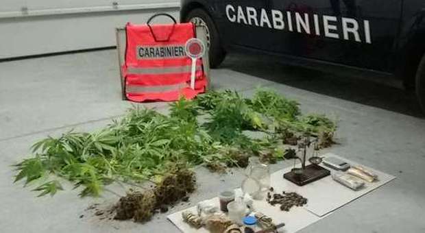 Coltivava marijuana in giardino, bulbi allucinogeni in casa: arrestato