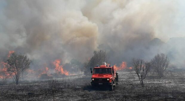 Bruciano 20 ettari di vegetazione a Vetralla, al lavoro Vigili del fuoco e mezzi aerei