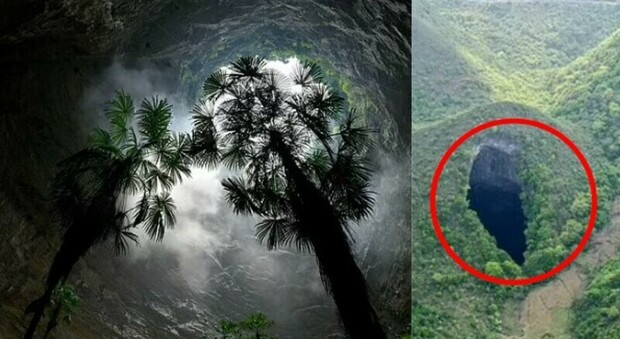 Foresta antica scoperta nel sottosuolo cinese: il geoparco si trova a 630 metri di profondità e «potrebbe ospitare specie sconosciute»