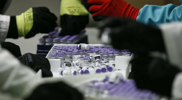 Pfizer, Novartis partner per la produzione del vaccino: destinati 20 milioni all'impianto di Torre Annunziata