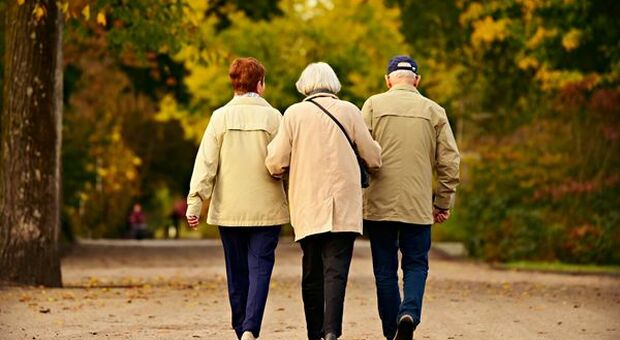 Istat, in Italia 1,2 milioni di anziani over 75 vive senza poter contare su un supporto adeguato