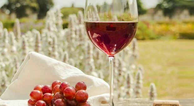 Degustazioni e masterclass sullo spumante a cura delle Donne del Vino, ecco Bolle di Puglia Experience. Le date in Puglia