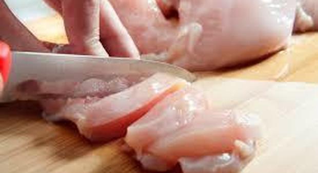 Salmonella nel pollo crudo, epidemia negli Usa: 92 persone contagiate, antibiotici inefficaci