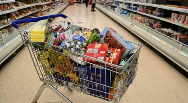 Cibo scaduto, prodotti senza etichetta e cucine sporche: multa da diecimila euro al supermercato degli orrori