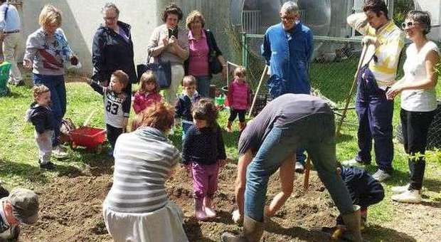 Sant'Elpidio a Mare, lezioni all'aria aperta L'orto fa cresce genitori e bimbi del nido