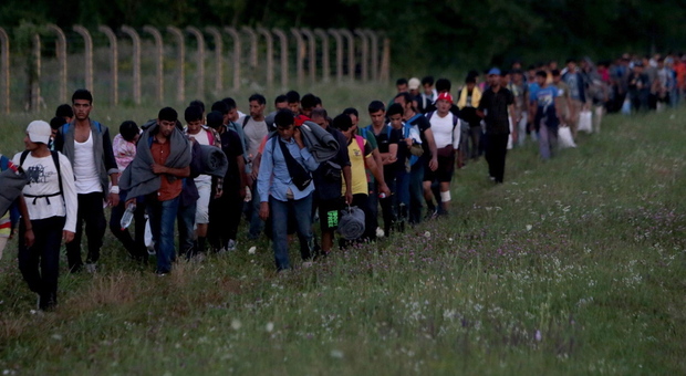 Migranti rotta balcanica
