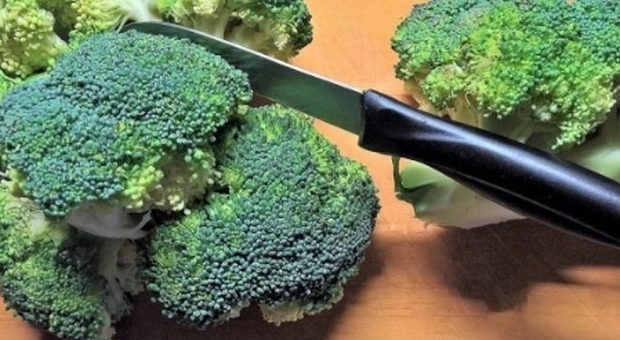 Tumori, scoperta nei broccoli un'arma micidiale per metterli ko
