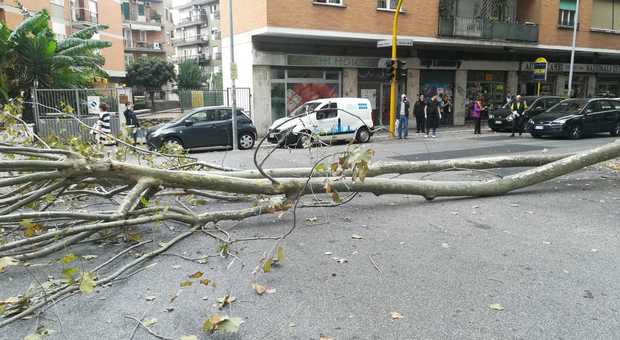 Roma, Maltempo, alberi caduti per il forte vento: strade chiuse e auto danneggiate