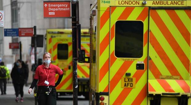 Febbre di Lassa, primo morto in Gran Bretagna per il virus simile all'Ebola