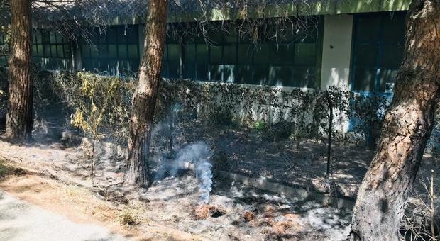 Pesaro, un mozzicone scatena l'incendio: chiusa per ore la pista ciclabile del Foglia