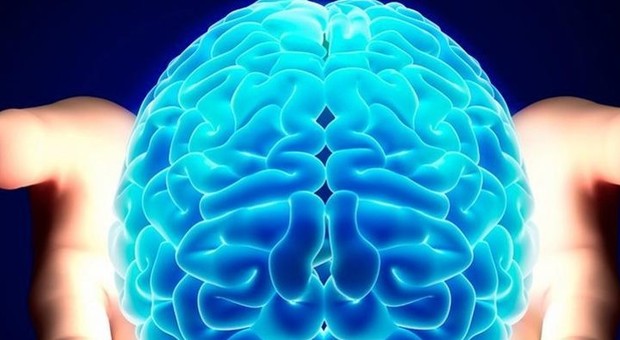 La bussola del cervello: solo la conoscenza può evitare le paure