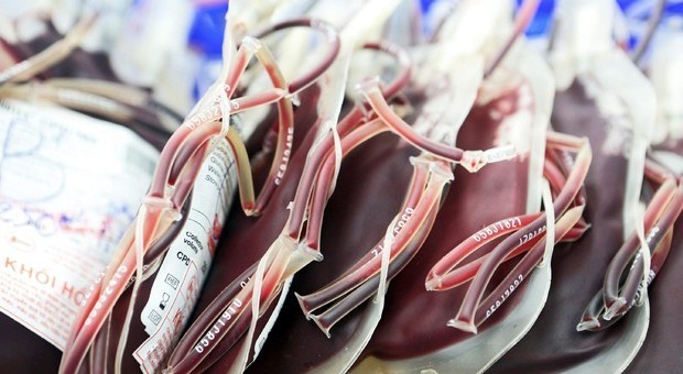 Sacche di sangue scambiate con altro paziente: donna muore