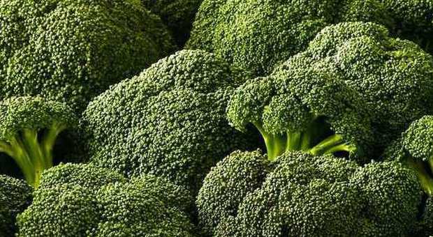 Broccoli, gli otto effetti benefici che hanno sulla nostra salute