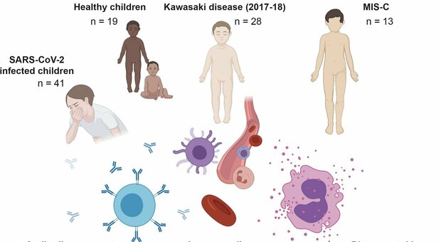 Covid, scoperta la causa che scatena l'infiammazione nei bimbi: studio del Bambino Gesù