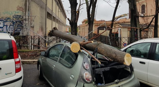 Roma, torna il maltempo con raffiche di vento: albero crolla sulla via del Mare e ferisce una donna
