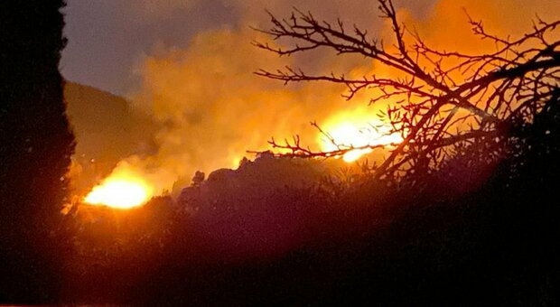 Isola d'Elba, incendio e paura: 700 sfollati. Evacuate le case un campeggio (bruciati 14 ettari)