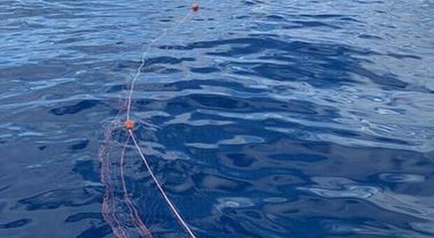 Pesca di frodo nel porto di Napoli: sequestrati 400 chili di mitili