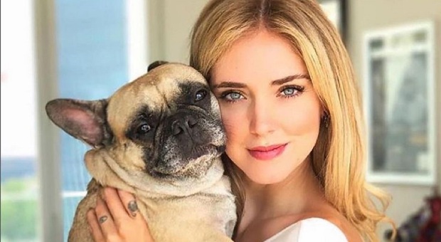 Chiara Ferragni, morta Matilda. L'addio alla cagnolina su Instagram: «Sei stata la mia prima bimba». Fedez: «Ci manchi»