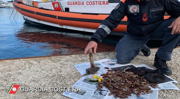 Pesca di frodo nell'area marina protetta, sequestrati tre chili di datteri di mare e una rete di 50 metri