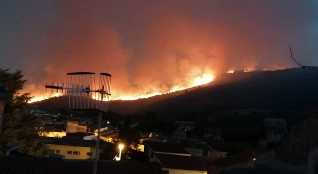 Sos incendi, la Calabria tra le regioni più colpite: 176 interventi col canadair