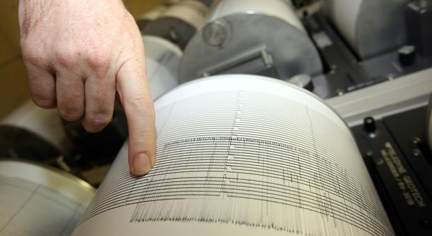 Terremoto, scossa di magnitudo 4,9 in Nuova Zelanda