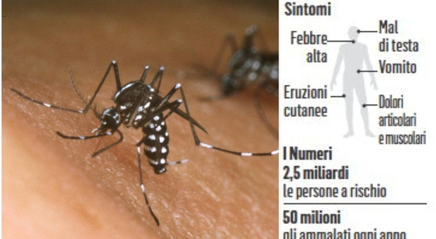Dengue è in Italia, otto casi autoctoni in Lombardia. Cosa è la febbre spaccaossa, i sintomi e come riconoscerla