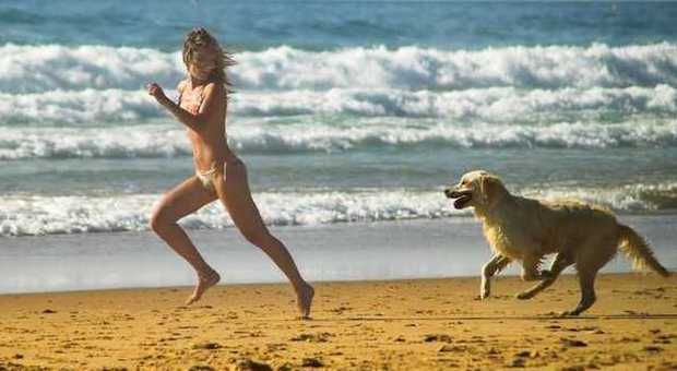 Stop alla «dog beach», nel Cilento bagni vietati per Fido