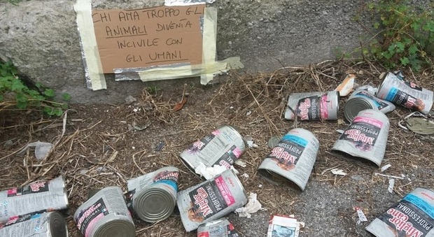 Discarica di scatolette per cani a Torre del Greco: «Incivili, amate solo gli animali»