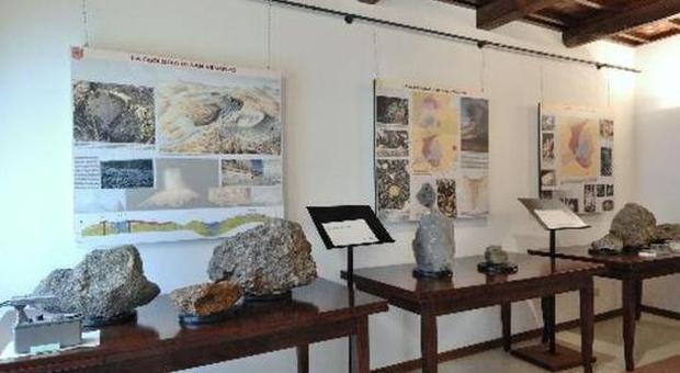 Museo San Venanzo
