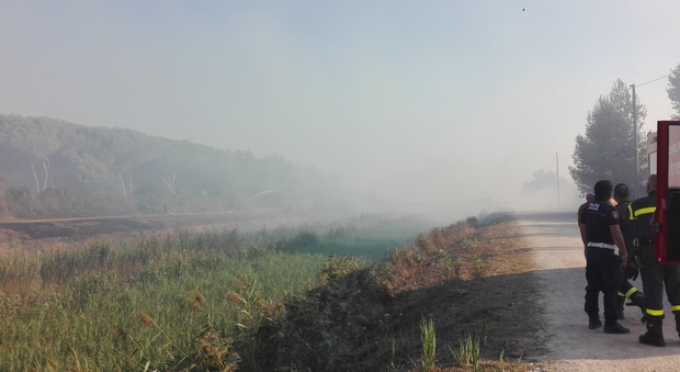 Pericoloso incendio lambisce a Fondi la residenza estiva dell'assessore Spagnardi: bagnanti messi in fuga dal fumo