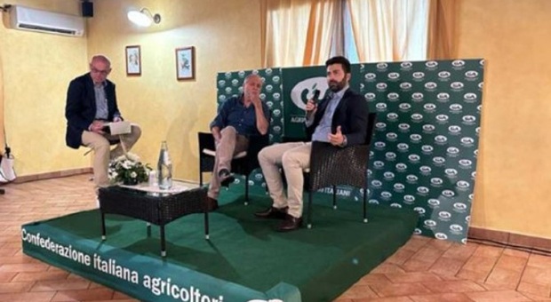 La CIA (agricoltori italiani): «Fondo perduto per l'agrivoltaico è occasione da non perdere»