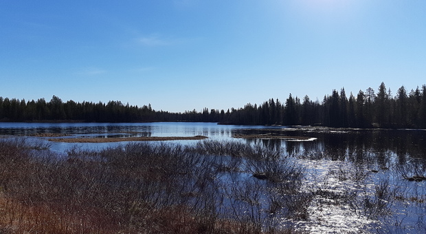 Le meraviglie della Lapponia Finlandese nell'area naturalistica di Ruka Kuusamo