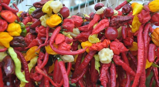 Rieti cuore piccante: il festival del peperoncino più hot dell'estate