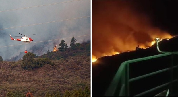 Tenerife, grande incendio boschivo sull'isola. Scatta l'allarme: evacuati 4 centri abitati