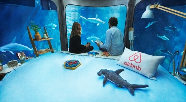 All'Acquario di Parigi si dorme insieme agli squali: ecco come partecipare - Foto