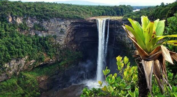 Suriname, meta perfetta per chi si sente esploratore. L’ex Guiana olandese ha il primato mondiale di foreste