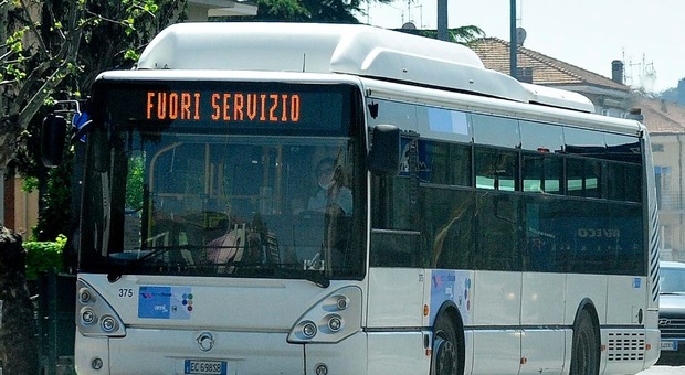 Pesaro, ripartono i trasporti pubblici, ma con l'app per stabilire quando e dove servono più corse